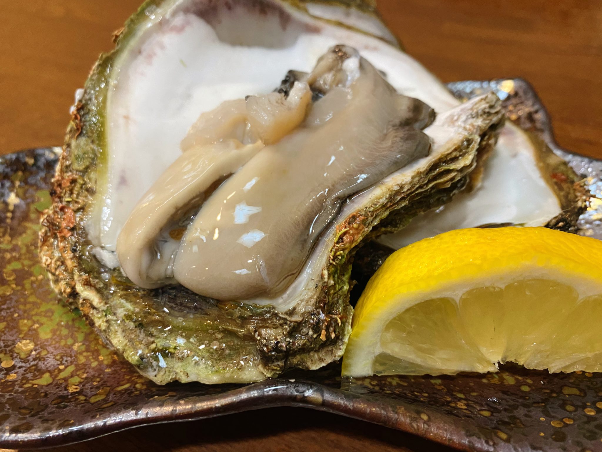 【海幸(かいこう)】伊勢市でコスパ抜群の居酒屋!刺身盛り合わせは必須 | 伊勢グルメフーディー|いせぐる